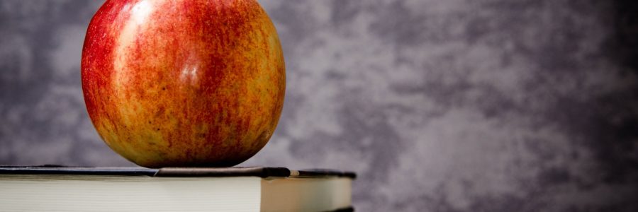 Analýza OSF „Obědy zdarma v předškolním a školním vzdělávání”